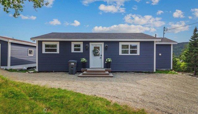 3-bedroom cabin on Horsechops Pond, Cape Broyle with Hot tub, AC, WiFi