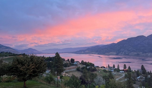 3 Bedroom Farm Stay: Alpacas and lake views