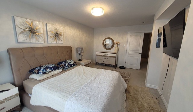3-bedroom townhome in charming Ottawa with WiFi, AC. Start your vacation now