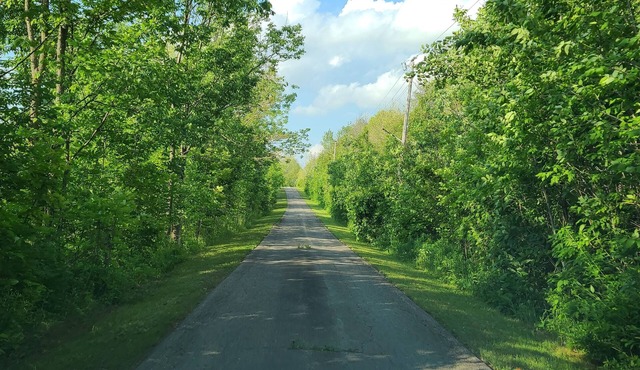 36 Acres Luxury Estate - Family & Weekend Peaceful Getaway