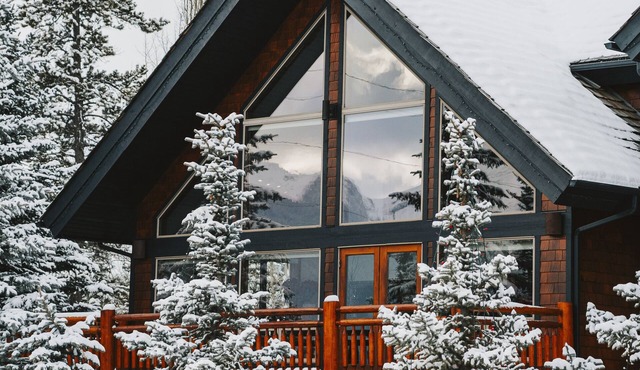 A Bear and Bison Inn
