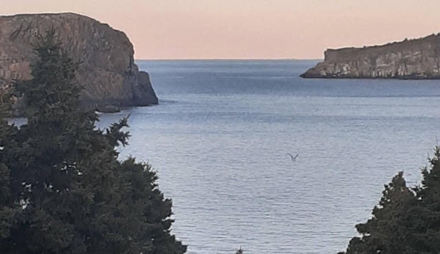 A million dollar ocean view