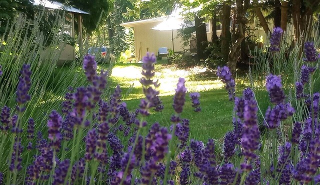 Arrow Lake Lavender Estate for 6 | Hot Springs, Beach, Bt. Dock & Golf