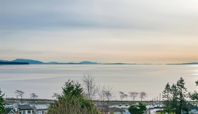 Artist Nest—this space is your sanctuary;NEW & Restful;10min to White Rock Beach