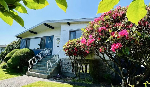 Artistic & Gallery inspired Room in central Vancouver