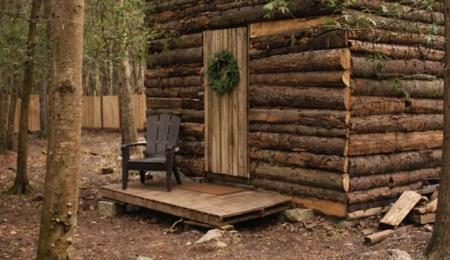 Ash, the tiny cabin in the woods