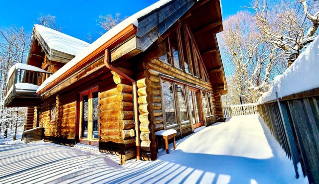Authentic log cabin #051