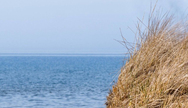 Beach, Beach, Beach - Cabaneaux 1