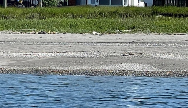 Beach front quality house, open year round, Cap- Chat, Gaspesie, fishing, kayak,