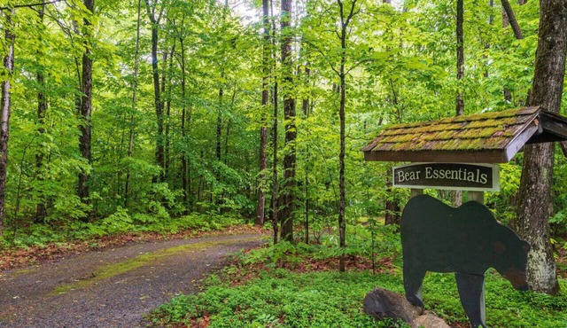 Bear Essentials Lakefront Hideaway