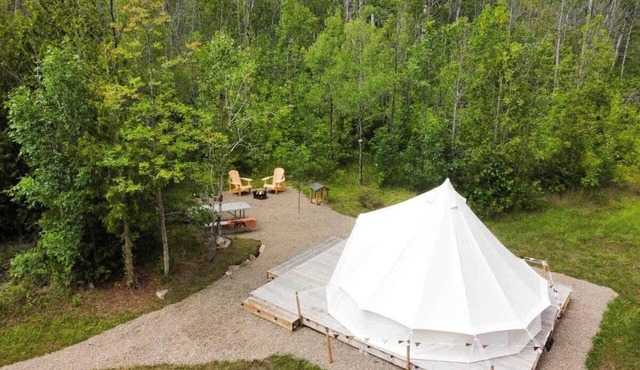 Bear Glamping Nordic Spa Access Near Tobermory