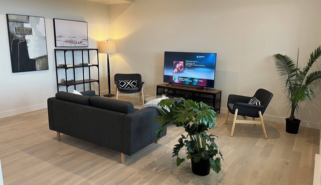 Beautiful, bright and brand new suite-apartment