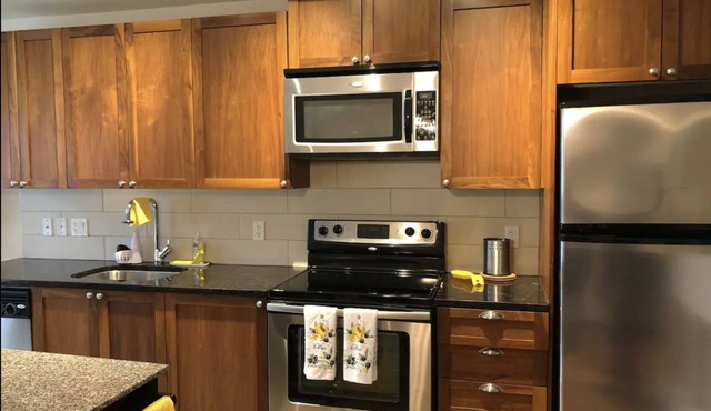 Beautiful Condo in Downtown Nanaimo with indoor parking, steps from the water