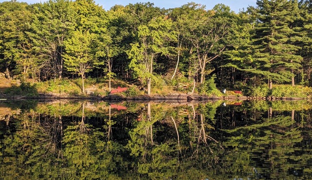 Beautiful waterfront Cottage with Private Dock located on Bob's Lake.
