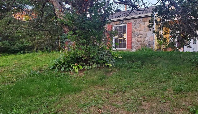 Best price, special for summer book 8 days, 9th free. Cottage , fits 5