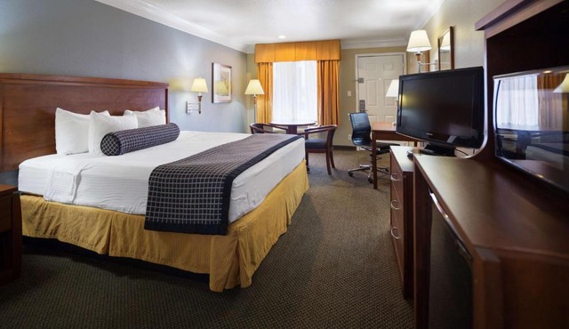 Best Western Angleton Inn in Angleton