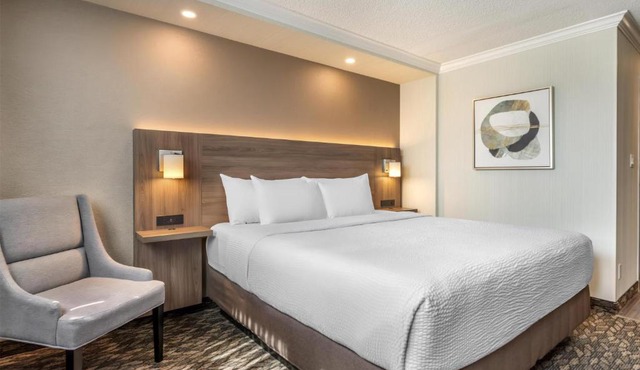 BEST WESTERN PLUS Carlton Plaza Hotel