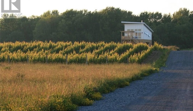 Between the Vines