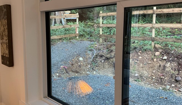 Black Bears Den - Cozy cottage in the woods pet friendly and hiking at your door
