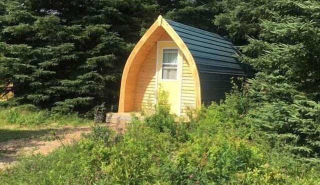 Blue Spruce Camping Pod