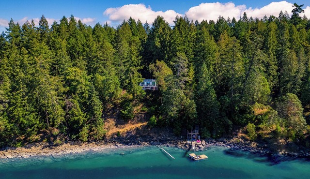Book your stay on the ocean. 2 bedroom modern cottage. Pet-Friendly!