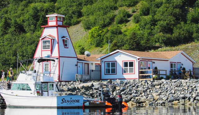 Boutique Oceanfront Suite Within Minutes of Tablelands and Woody Point