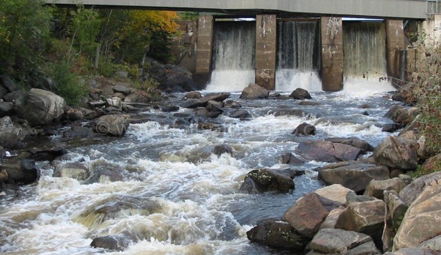 Breathtaking & Newly Renovated Lakeside Cottage in Burk's Falls