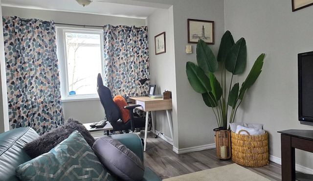 Bright, central location. Walking to all amenities.