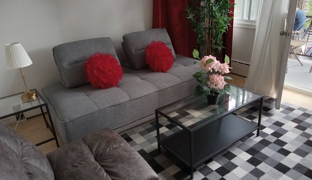 Bright cosy apartment short walk to metro green line near Olympic Village
