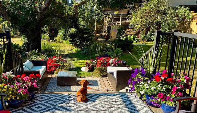 Campbell Cottage B&B