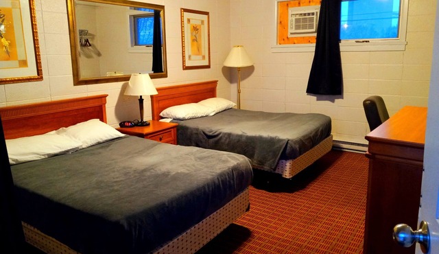 Chalet Inn Motel in Dryden