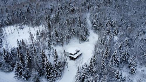 Chalet Zénitude En Forêt - Spa et Moments Précieux