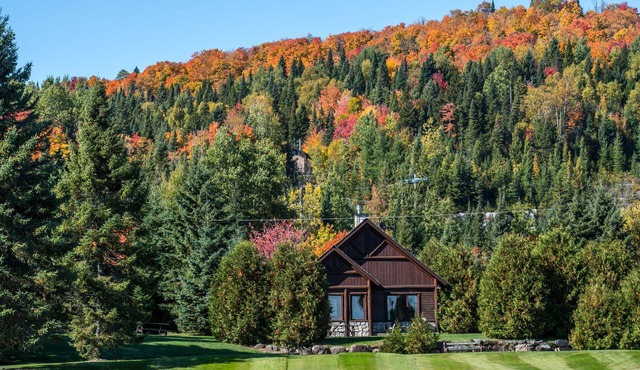 Chalets Royal Laurentien