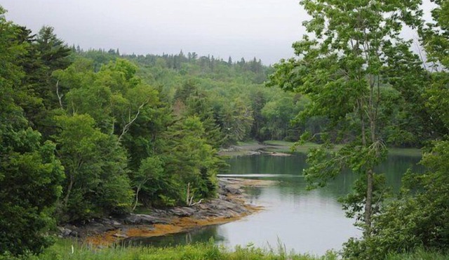 Cherryfield Trails: Custom new house on 76 acres with trails and riverfront.