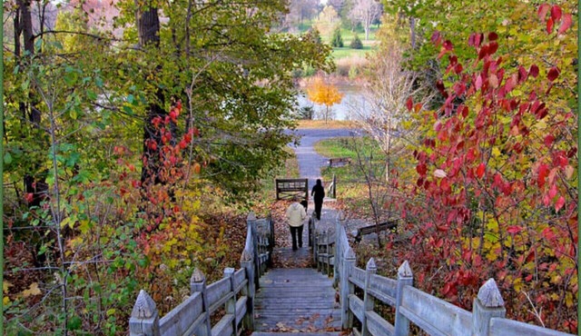 Chic Stay in Wortley – Walk to Downtown & Parks