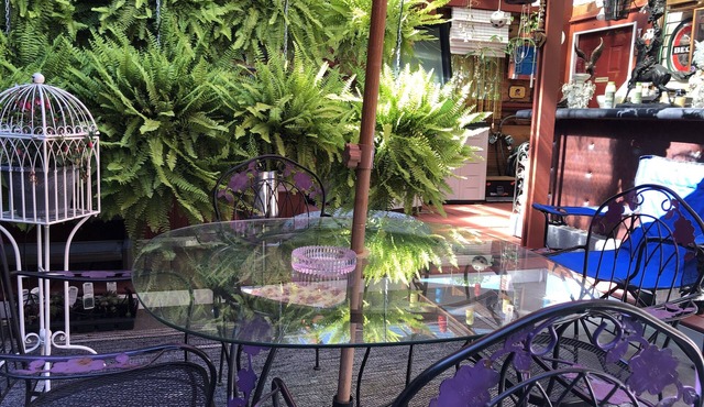 City Centre Secret Surprise. As low as $150.00 nite. Avail immediately