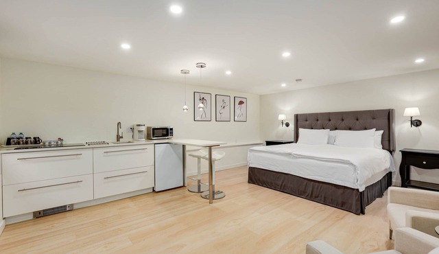 Classic King Size Guest Suite w/AC