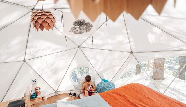 .Cloud Dome Treehouse | 1 Bed, 1 Bath in Campton