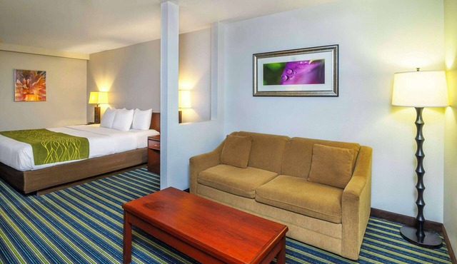Comfort Inn & Suites