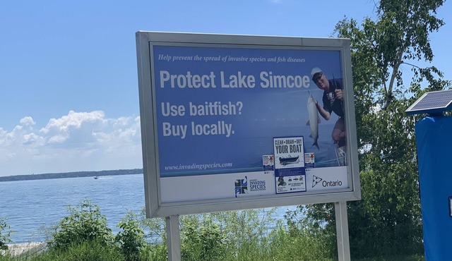 Comfortable Vacation Getaway in Innisfil Ontario.