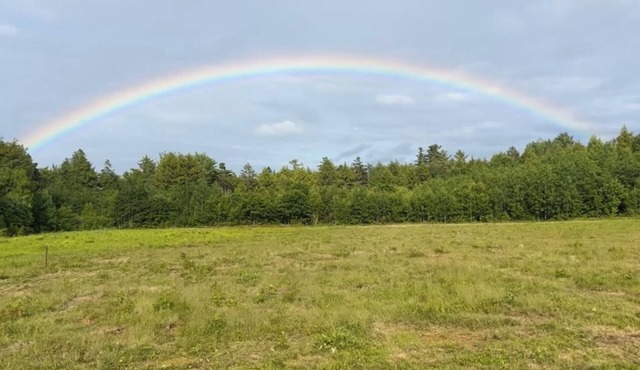 Connect with nature - Tranquil Downeast Escape, Near Acadia & Sunrise Trail in Eastbrook