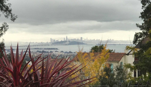 Convenient walk to UC, Haas, MSRI, Simons and Goldman School. Historic home. in Berkeley