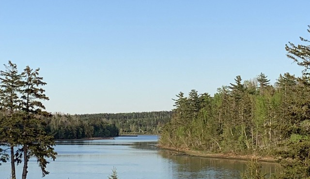 Cottage on Stanley River with amazing views and private pool
