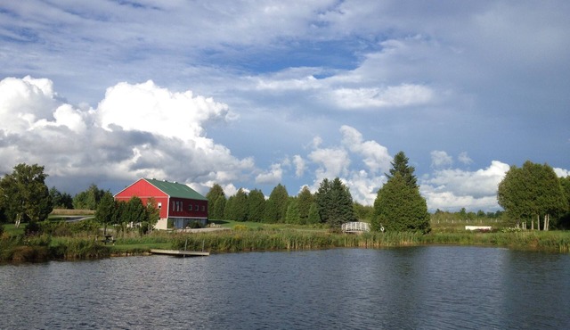 Cozy & Beautiful Country Retreat -2hrs from T.O.
