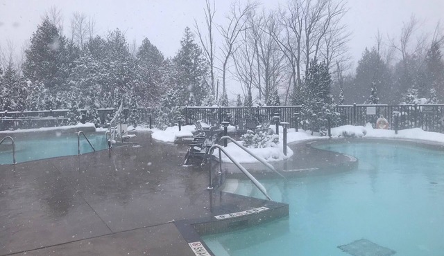 Cozy Blue Mountain Condo -Ski, Swim, Hike, Enjoy in Blue Mountains