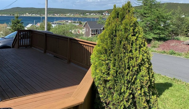 Cozy Retreat Along the Avalon Peninsula in Coastal Heart's Delight