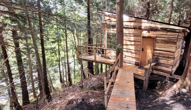 Cozy cabin in the woods minutes from ferry