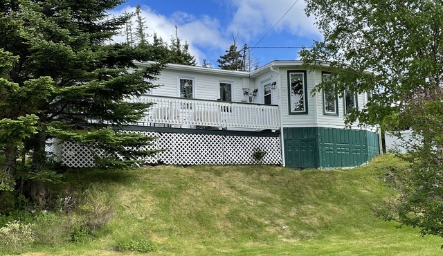 Cozy Cabin just steps from the East Coast Trail