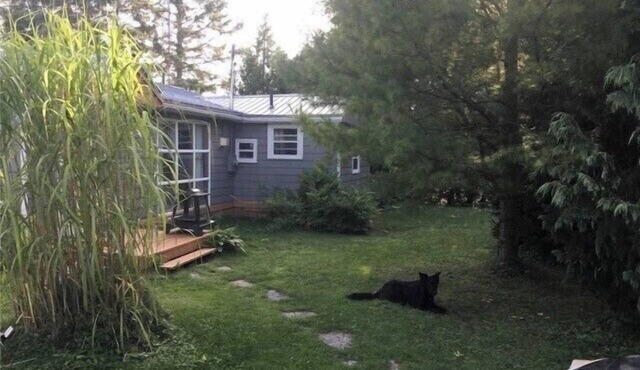 Cozy Cottage by Lake Ontario