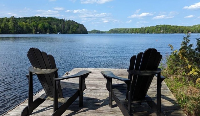 Cozy Cove on Gull Lake Getaway to your own cove with swim up dock and sand beach